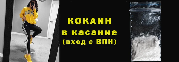 сатива Абинск