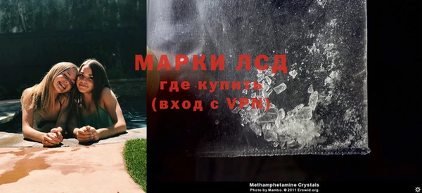 сатива Абинск