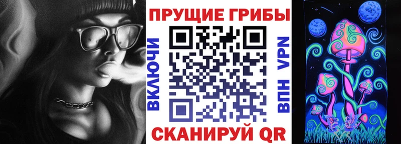 ссылка на мегу ONION  Карачев  Галлюциногенные грибы мухоморы  купить наркотик 